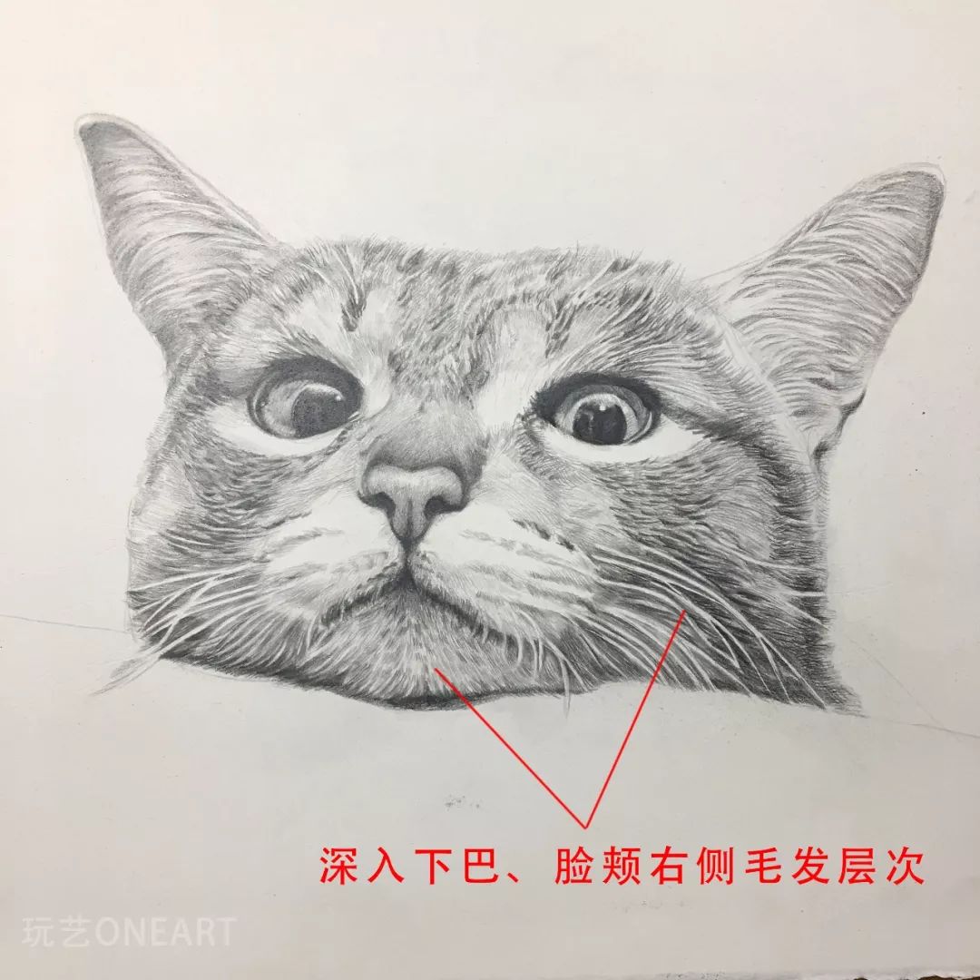 嘴唇唇缝转折,胡须根部留白层次,在深入的过程中,一点点去细化.