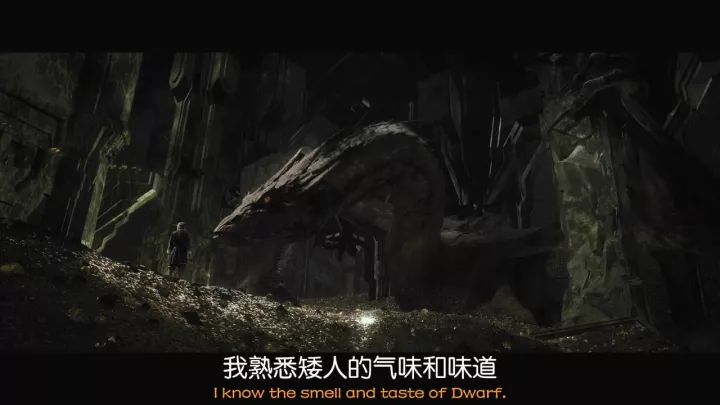 电影分享: 霍比特人2:史矛革之战