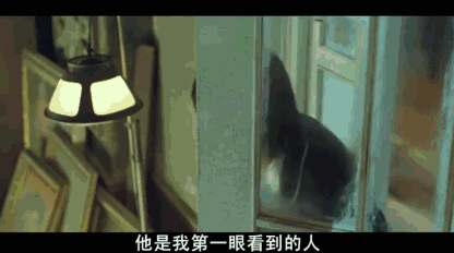 这部韩网9.27分的中国电影,依旧他们被奉为神作