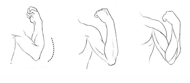 手臂的画法 ,二头肌,三角肌的结构位置