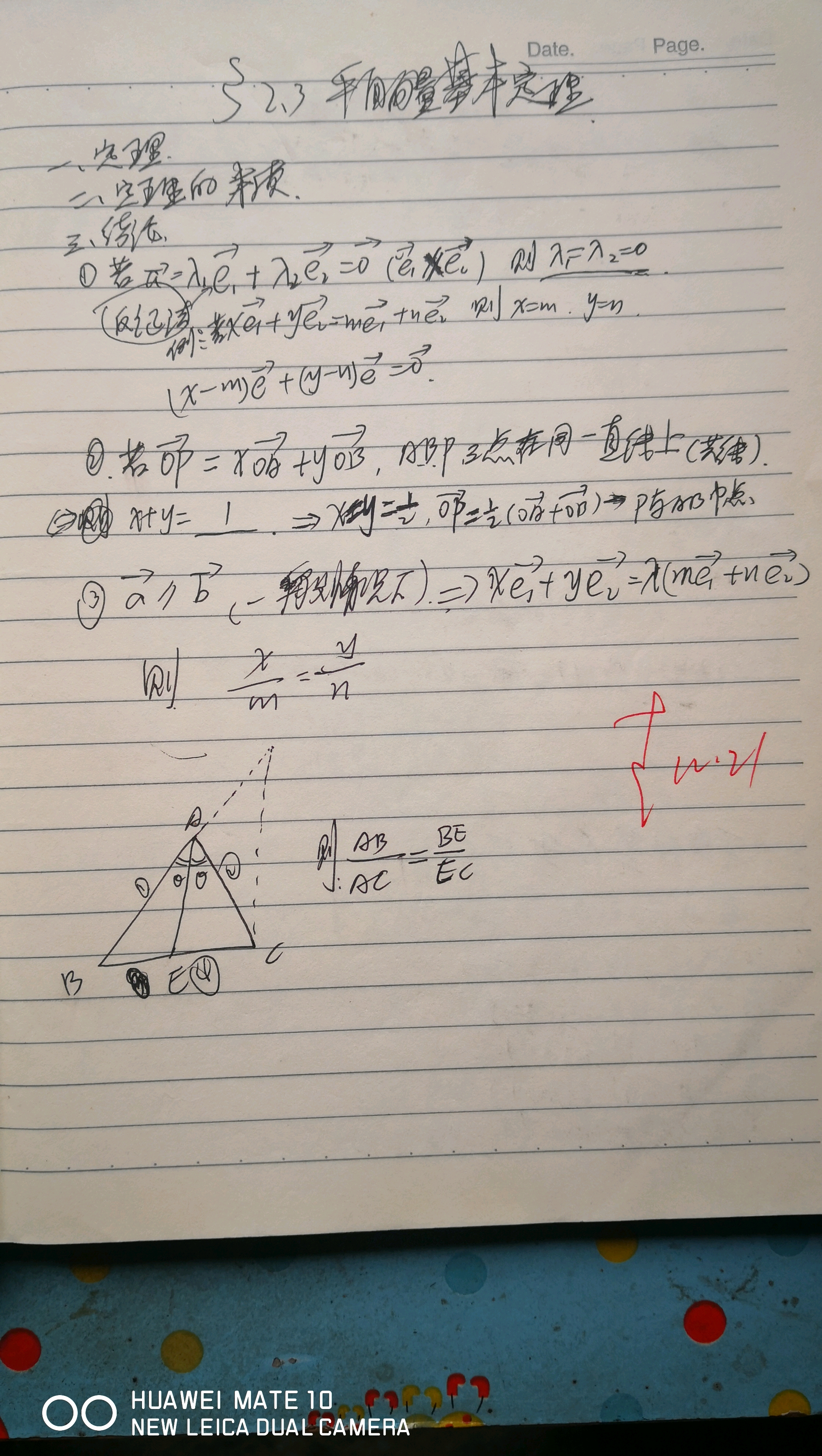 高考数学笔记分享/平面向量