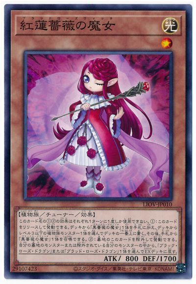 红莲蔷薇魔女