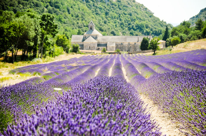 普罗旺斯,英文provence,鲁珀族干员的代号都对应了一个区域,德克萨斯