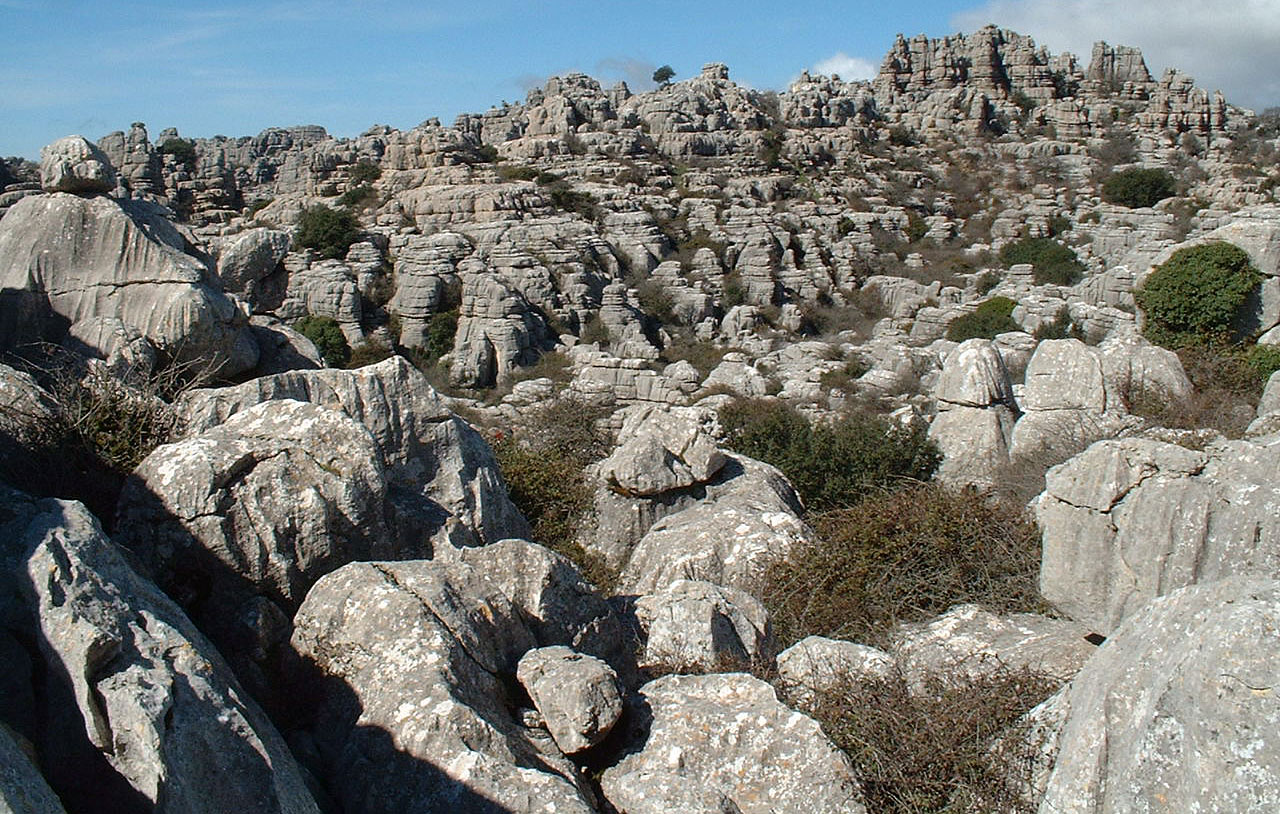 石灰岩受溶蚀后形成的喀斯特地貌,请自行脑补去掉植被