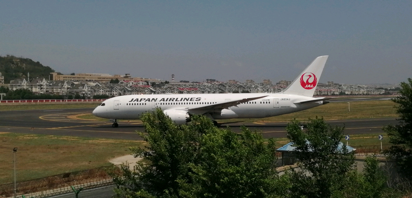 日本航空公司boeing787-8