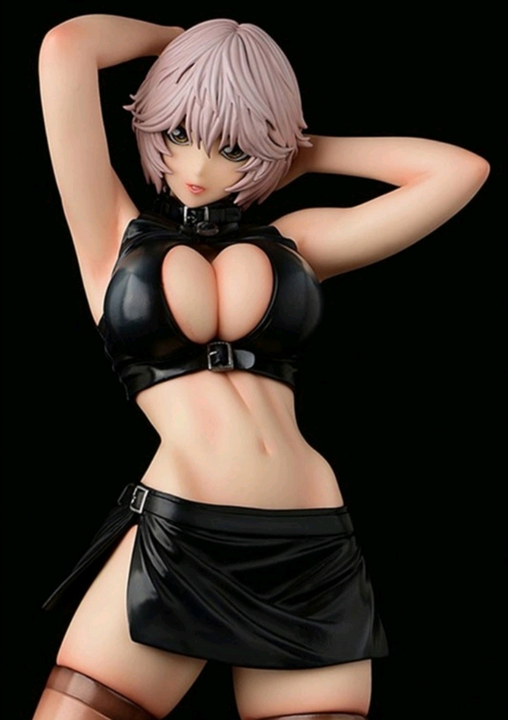 最新花圃和美少女寄性兽医铃音有薗铃音开订22800円税2020年4月出荷