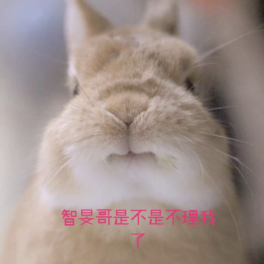"智旻xi."可怜巴巴的田兔子