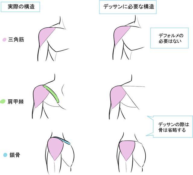 人物的肩部画法一定要掌握,教程非常简单,赶紧来看看叭: 肩膀是连接