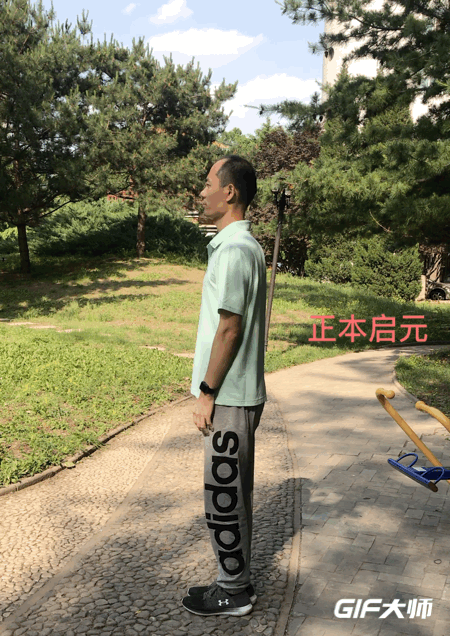 今天在这里抛开常用的"意,气,力"的练习方法,从关节功能角度,分析站桩