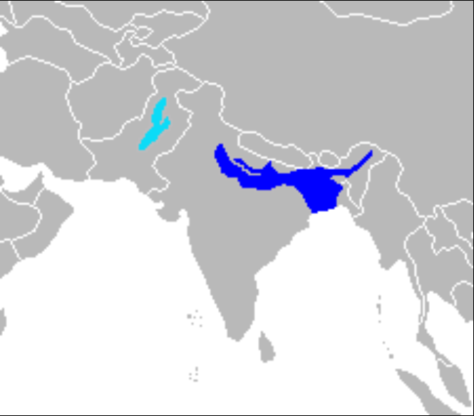 猜测是很久以前北印度地区的 萨特卢杰河(sutlej)和亚穆纳河(yamuna)