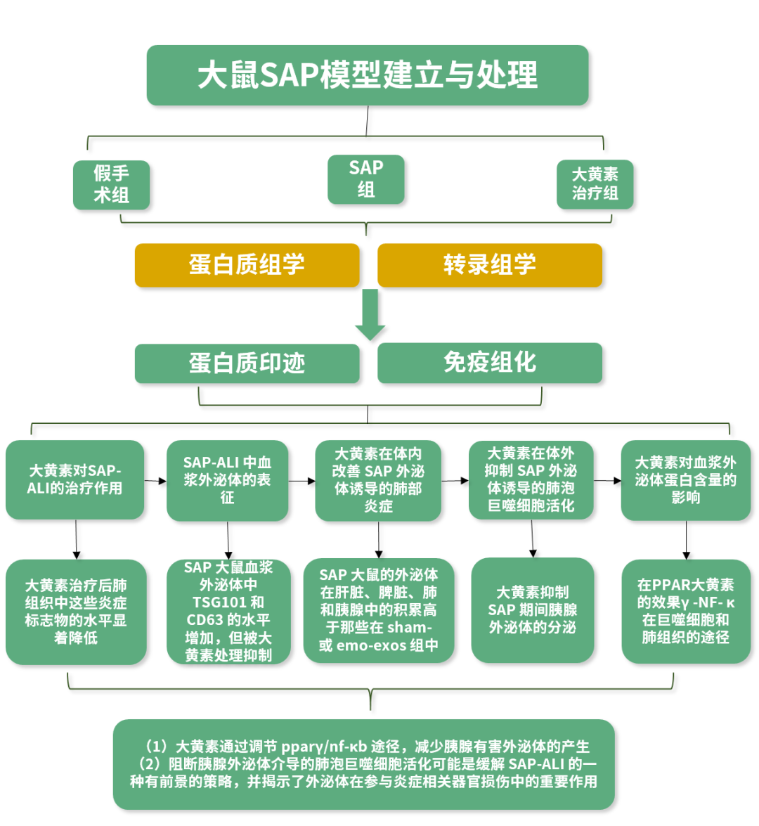 c43a8d9405b36c3f8a969571744629d062ba3621.png