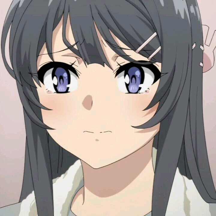 《青春猪头少年不会梦到兔女郎学姐》樱岛麻衣自截头像第三期