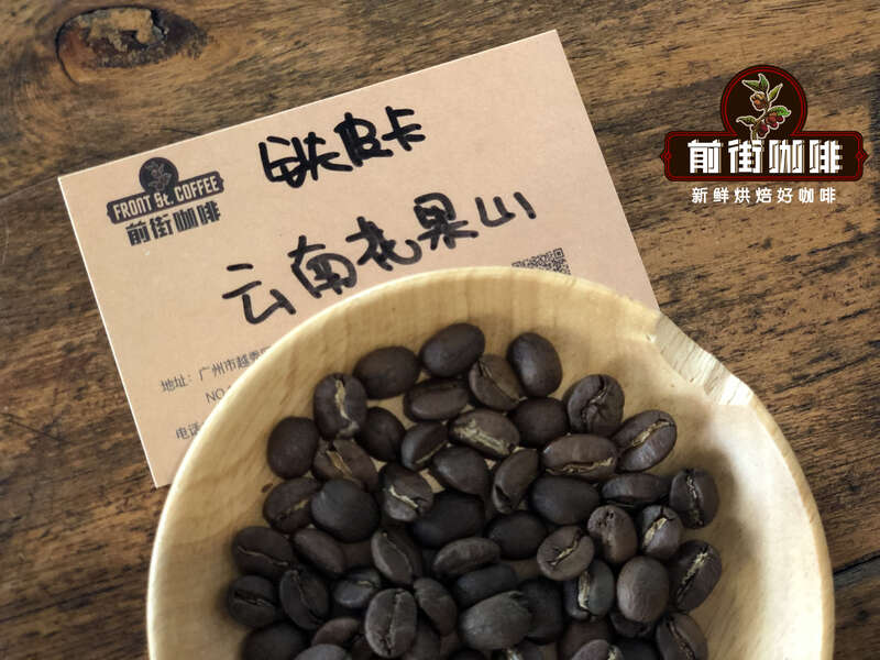 云南咖啡豆的主要特点 云南咖啡豆的品种 云南铁皮卡咖啡风味描述