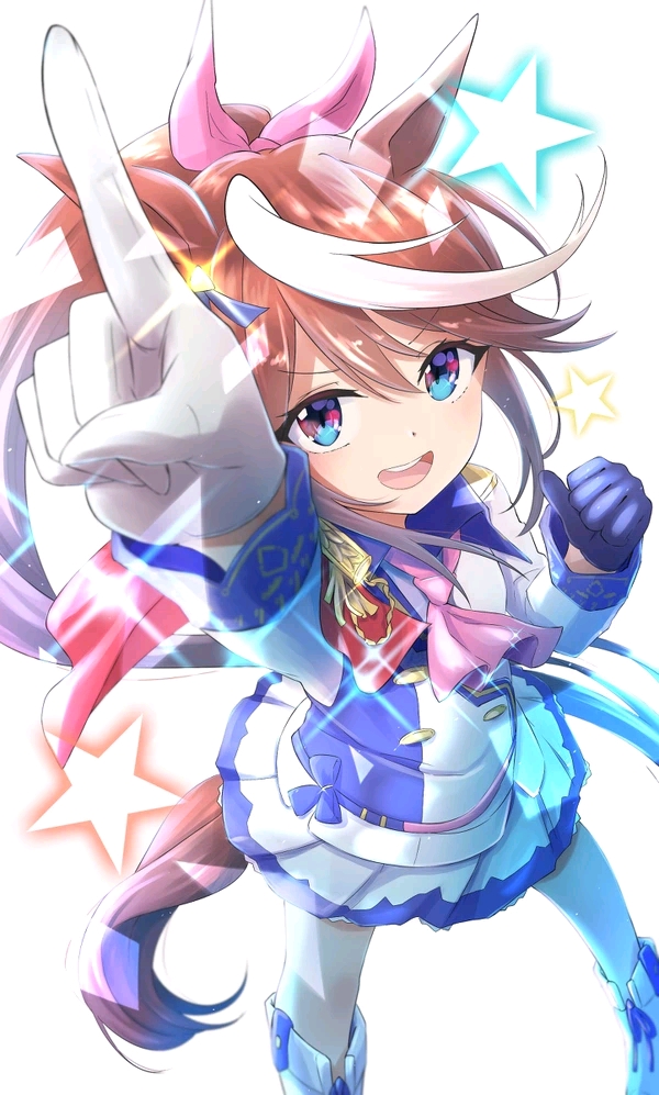 赛马娘2中非满星评论