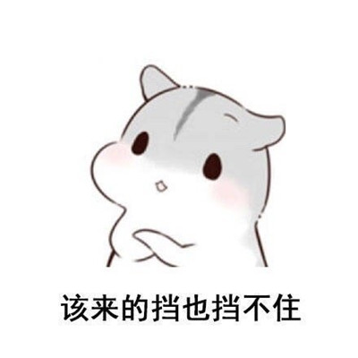 c4e1df5208bb176b383d9d5ffed4722c7af52321.jpg
