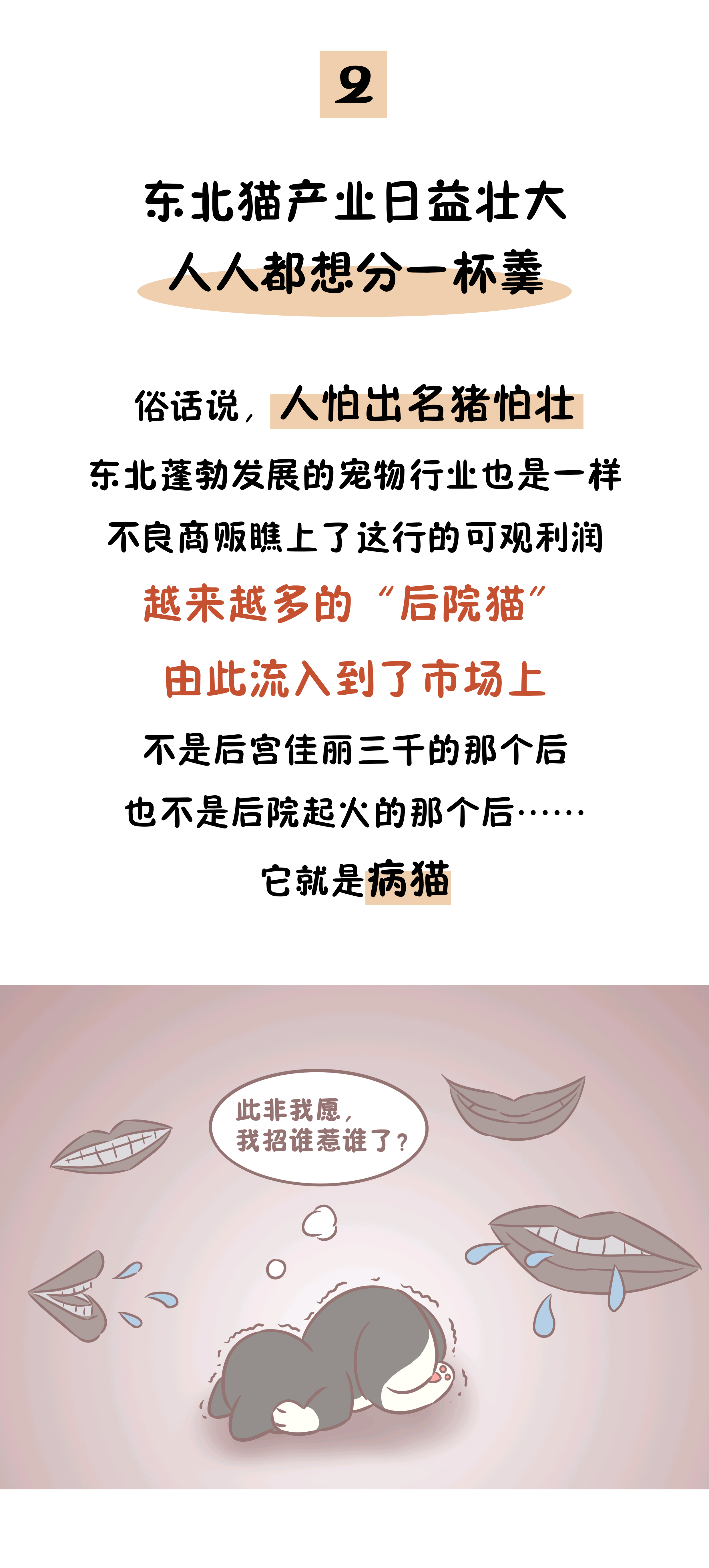 养个猫也被地域黑作为东北猫我招谁惹谁了