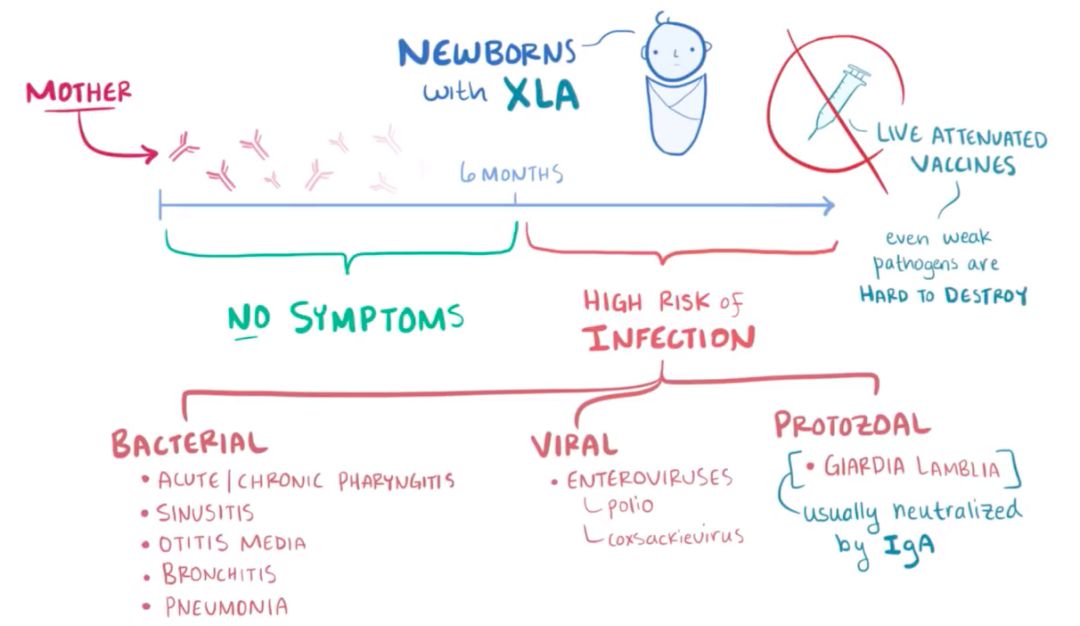 甚至需要避免一些 减毒疫苗 live but attenuated vaccines,像是 减