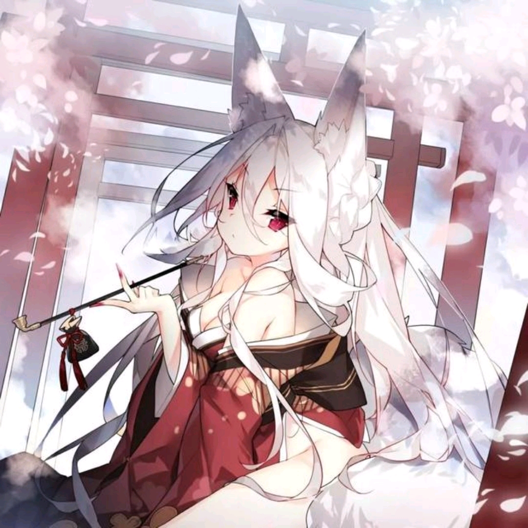 兽耳娘 二次元萌妹子 美图/壁纸合集⑤