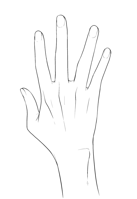 手部画法400张(六)