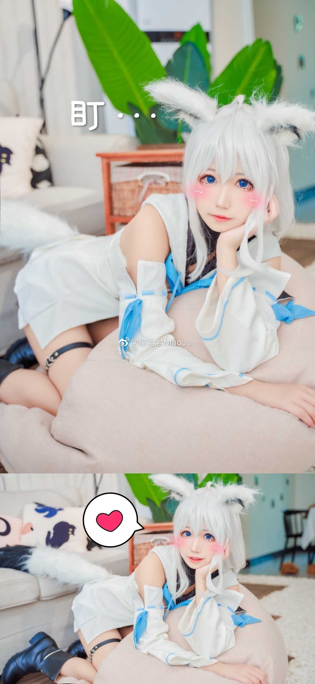 cos |《白上吹雪》啊,我死了,快给我血包!(●""●)