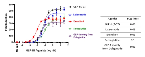 GLP 1R 和糖尿病 BPS Bioscience 哔哩哔哩