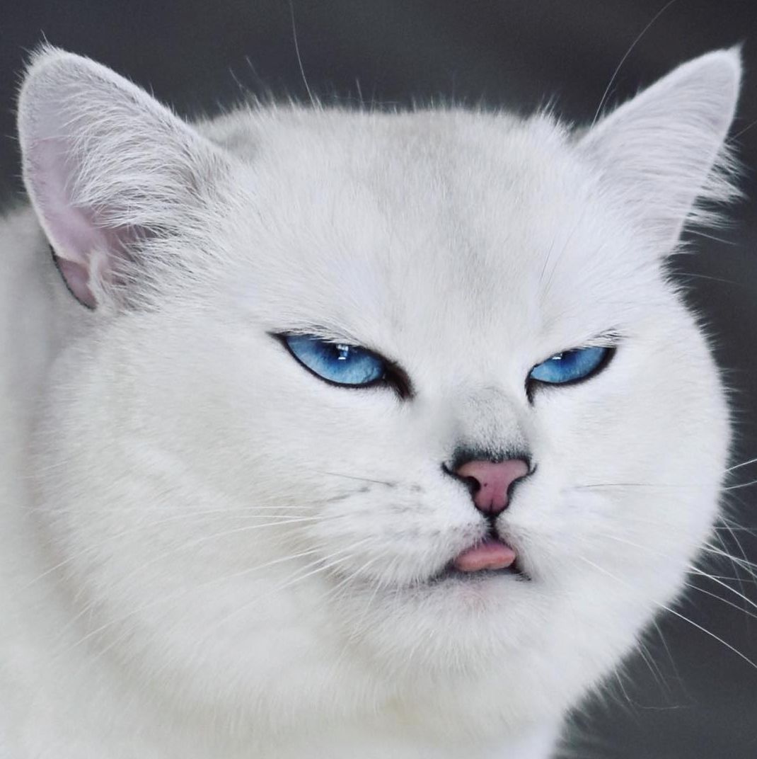 给你个眼神自己体会!