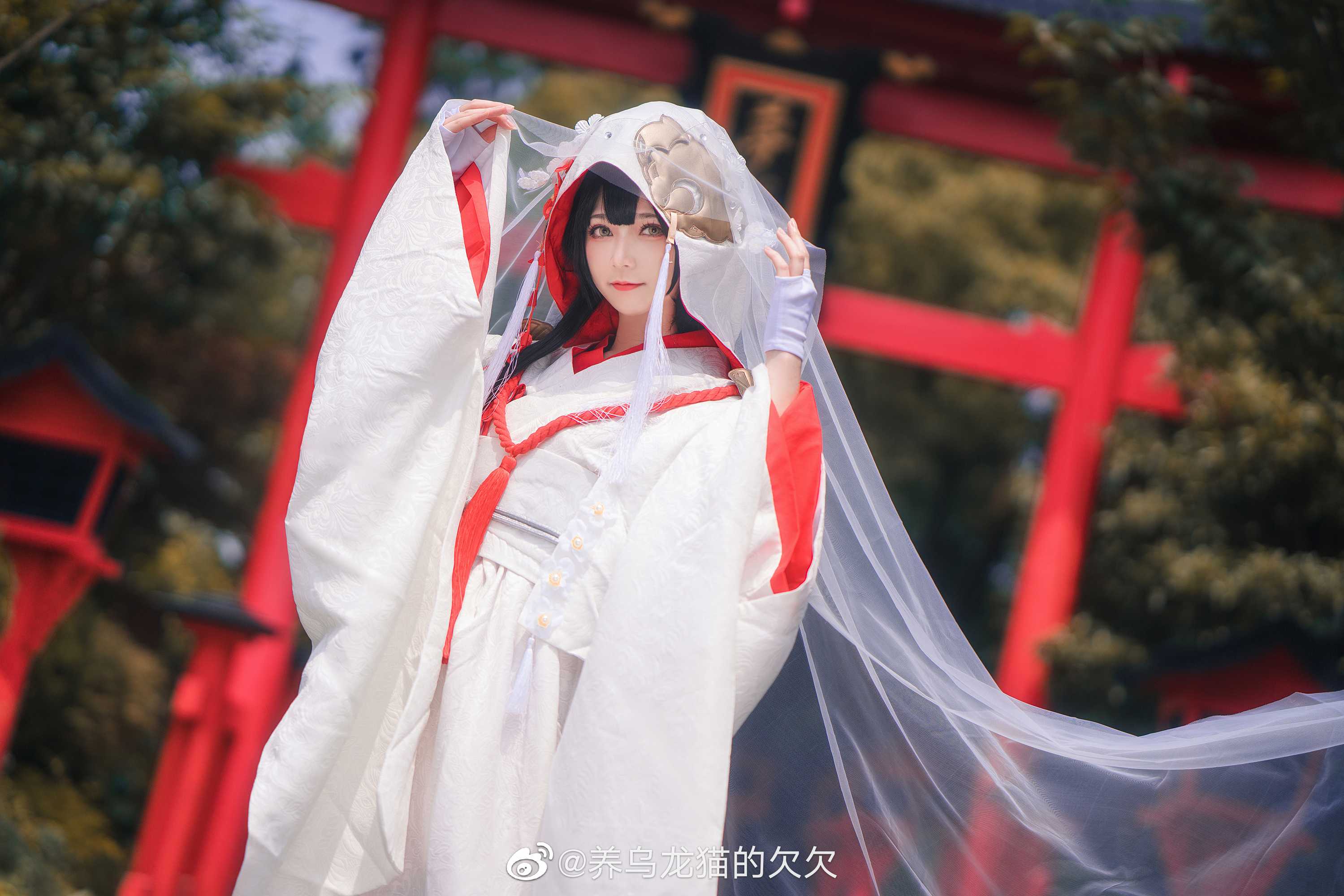 cos |《碧蓝航线》高雄 这只獒穿的也太多了趴