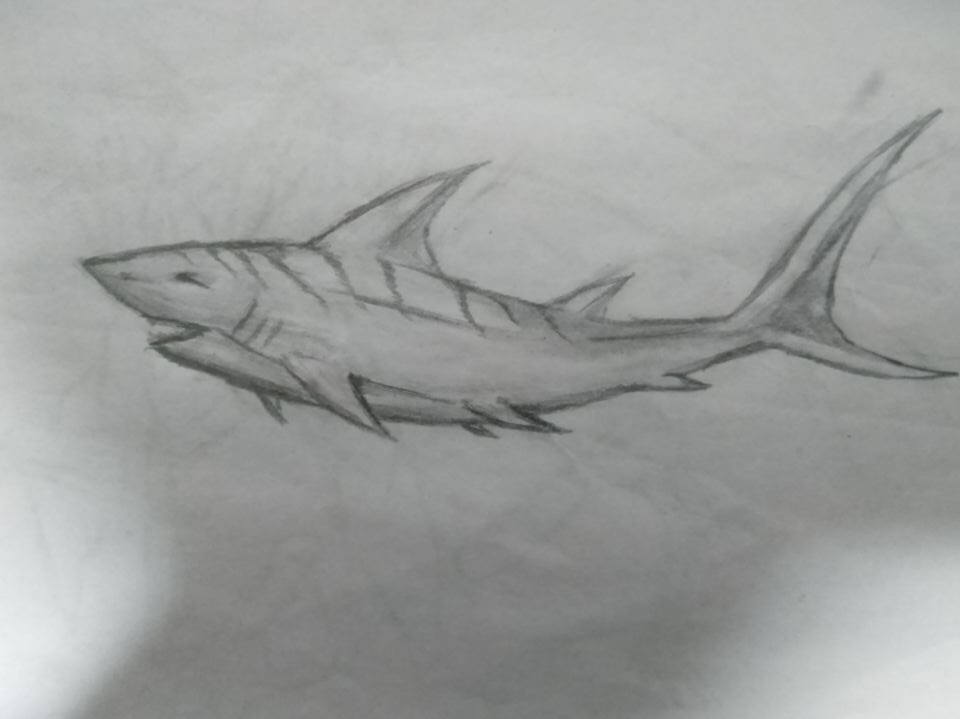 方舟:生存进化 自创生物"剑尾鲨"