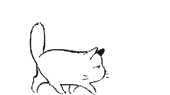 [二次元美图第二十三期](回归up主)