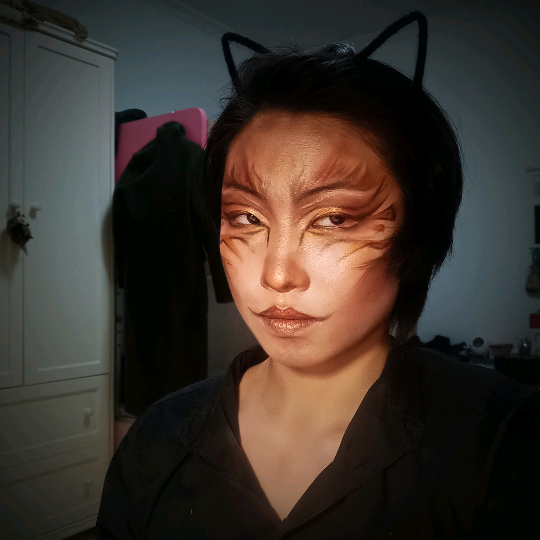 猫科动物仿妆——《虎》