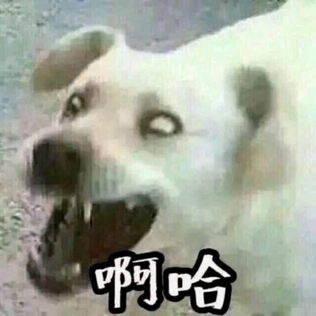 单身狗勿进的情头专栏