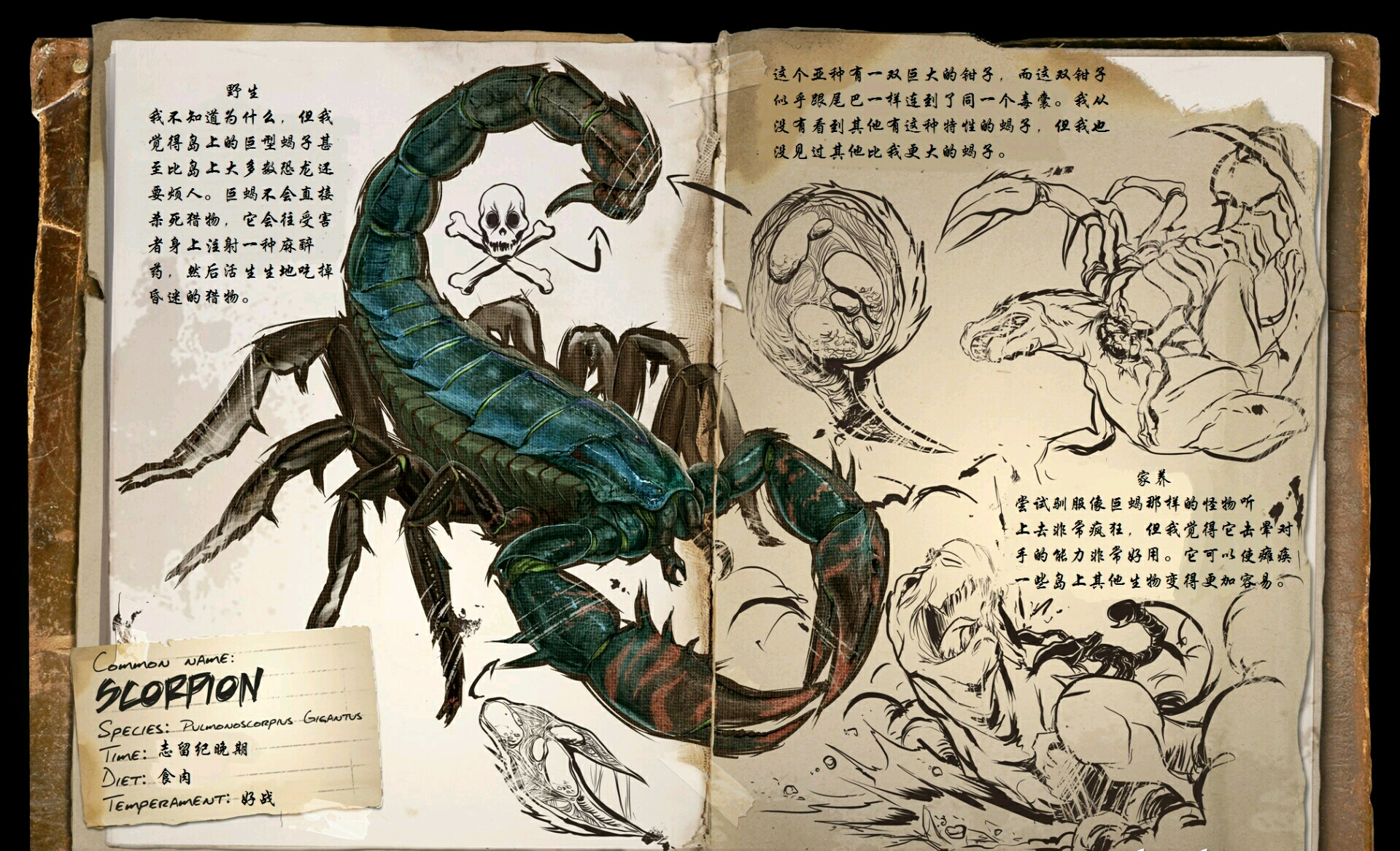 方舟:生存进化全生物图鉴合集(孤岛篇)