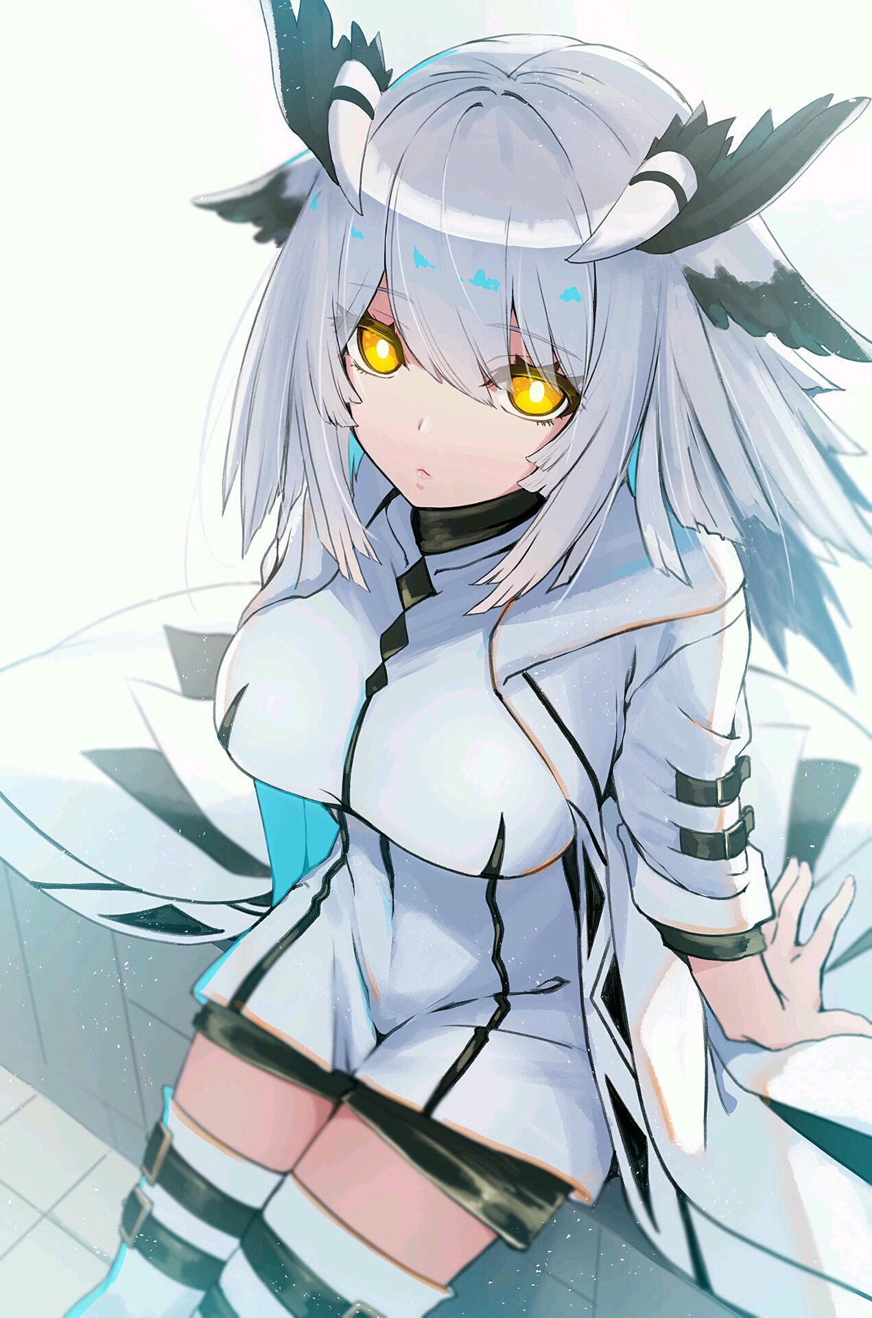 个人向,自认为比较好看的白面鸮(明日方舟)