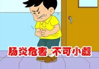 让你的肠道病了 慢性肠炎