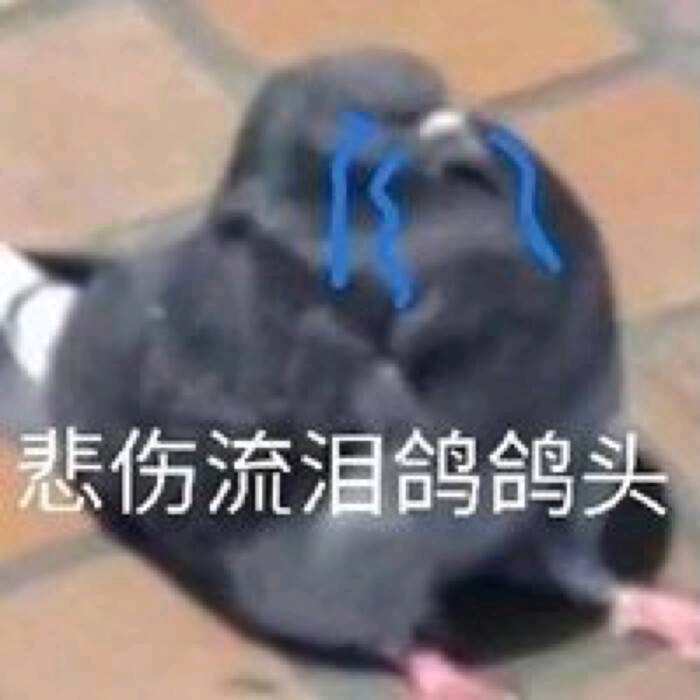 【沙雕头像】沙雕表情包/天线宝宝/熊猫头