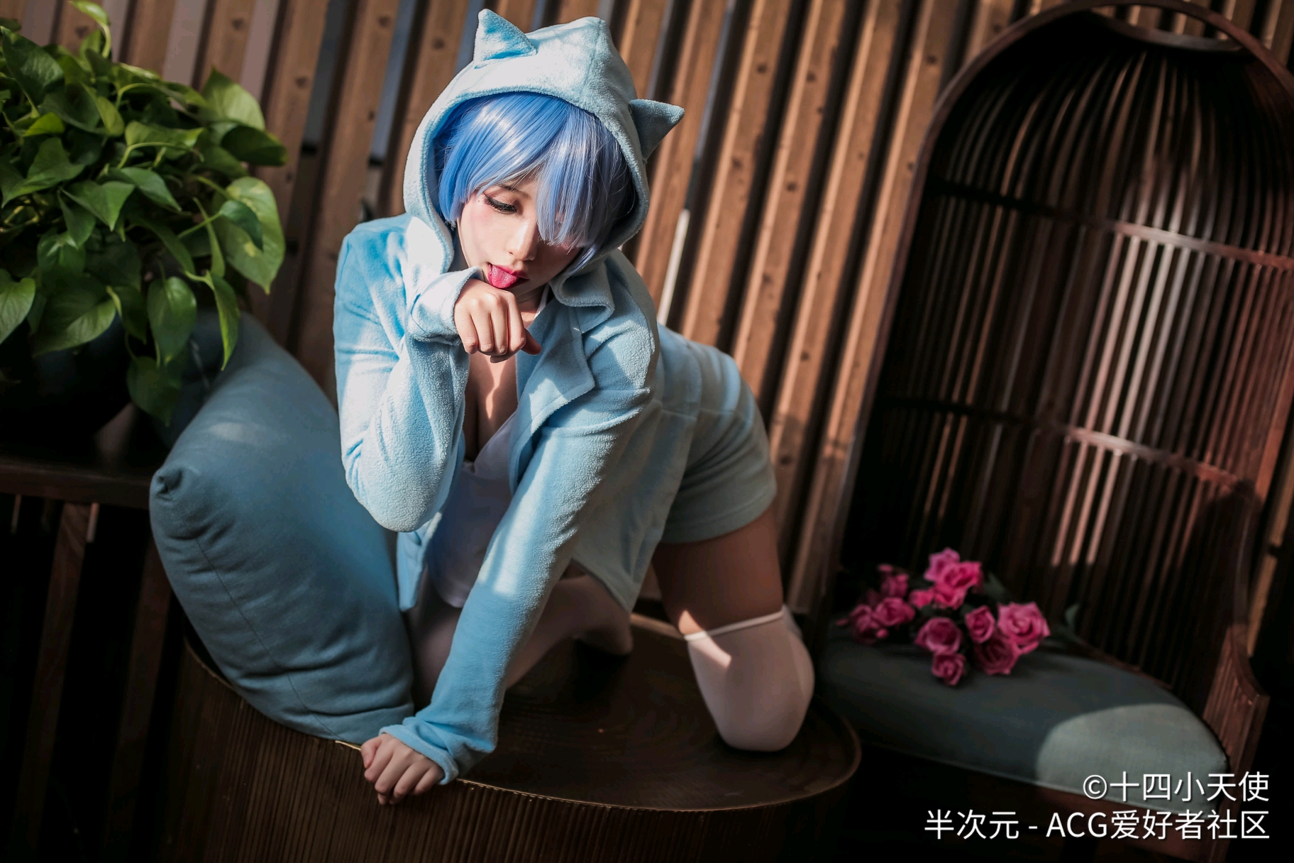 蕾姆cosplay 2