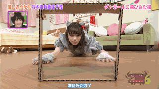 (出处-《nogibingo6》ep6乃木喵大赏)