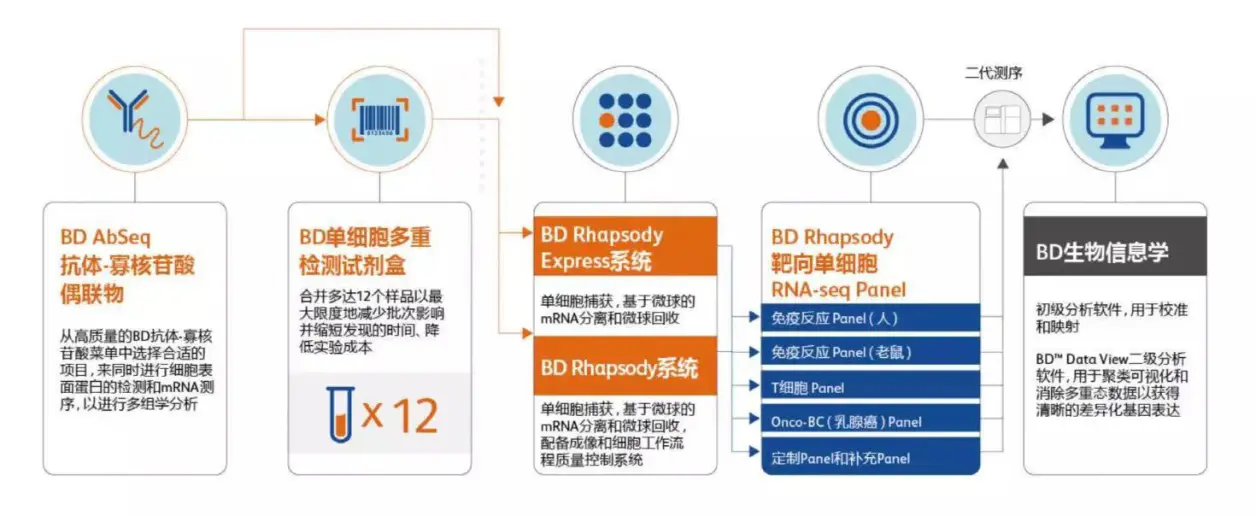 单细胞服务器，这一概念是如何定义的？