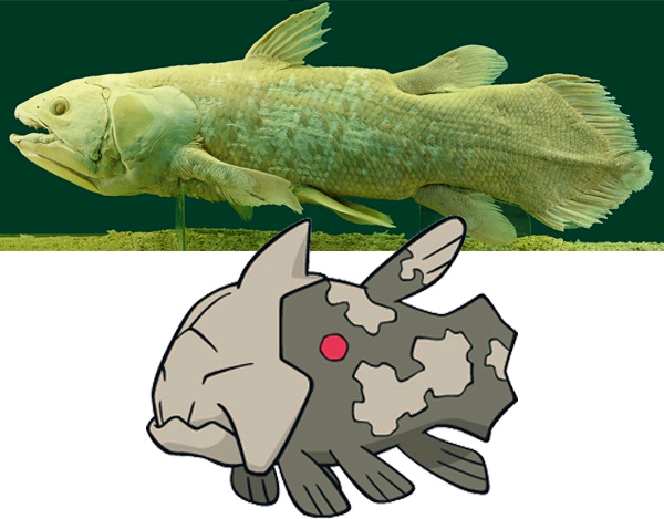 空棘鱼,拉蒂迈鱼 腔棘鱼亚目(coelacanthini)一种硬骨鱼(bony fish)