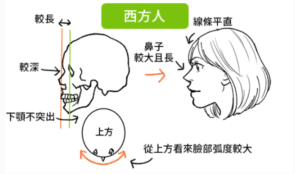 插画角色鼻子该怎么画?怎么画鼻子?