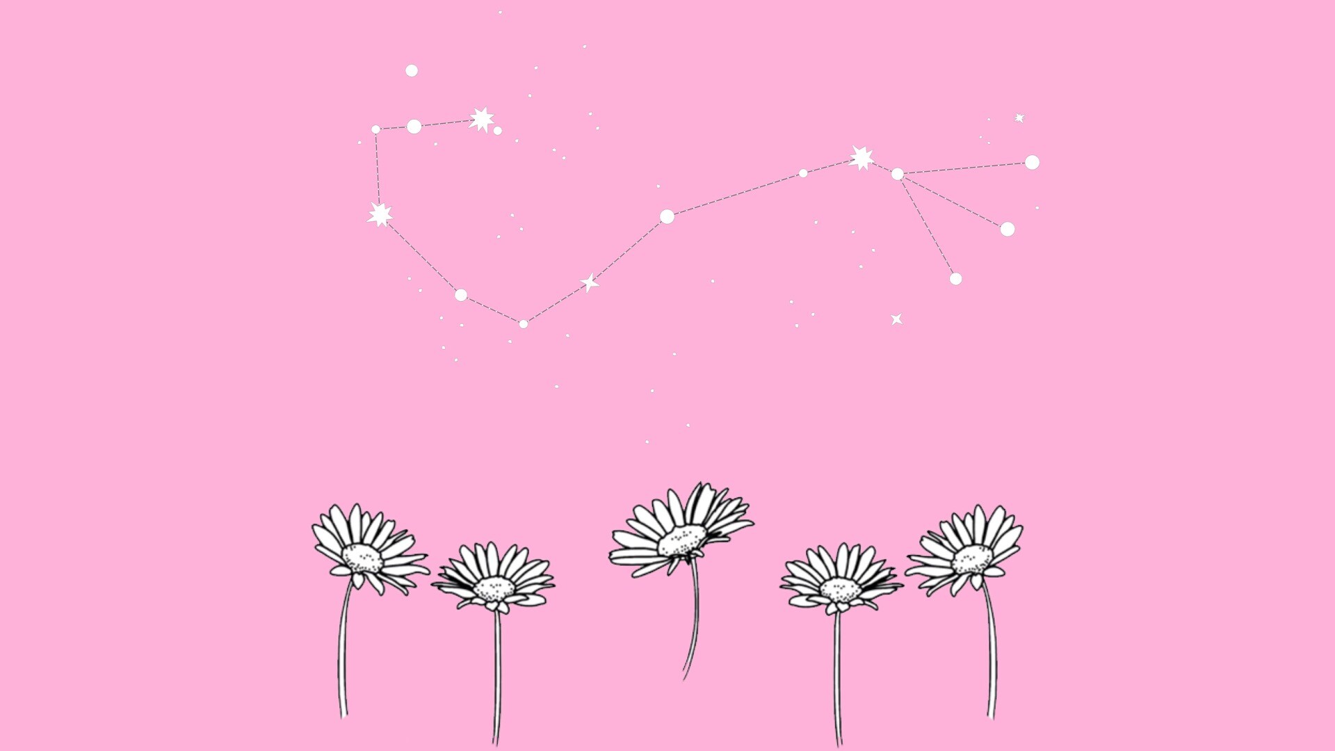 5k高清粉色动态壁纸分享,壁纸非常的精致唯美,有可爱的花朵,希望你们