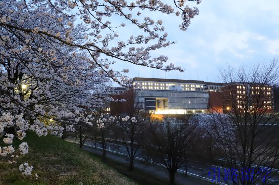 留学日本的金泽大学看到的竟然是这样的