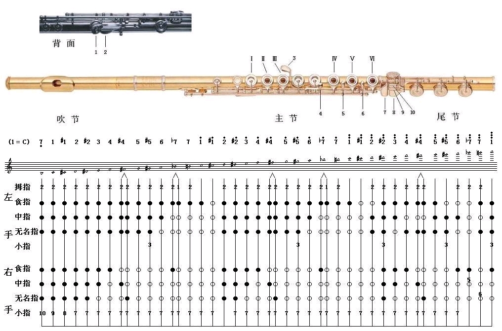 吹响吧上低音号长笛flute
