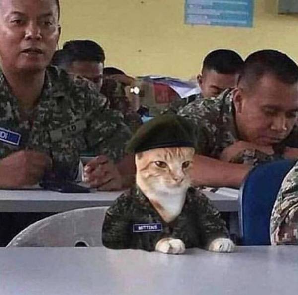 搞笑图片!这是什么沙雕图?第八弹爆笑囧图集合.你想做