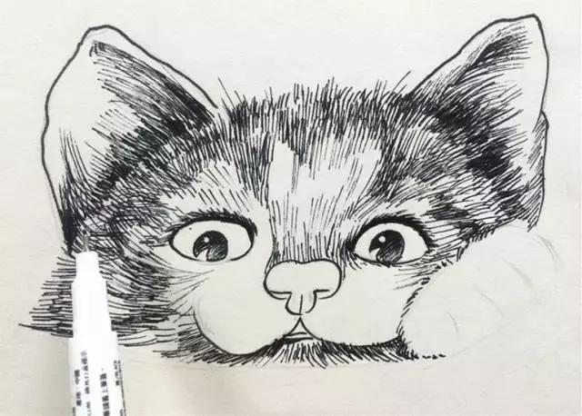 超简单的动物,小猫咪绘画基础教程,一步步手把手教你