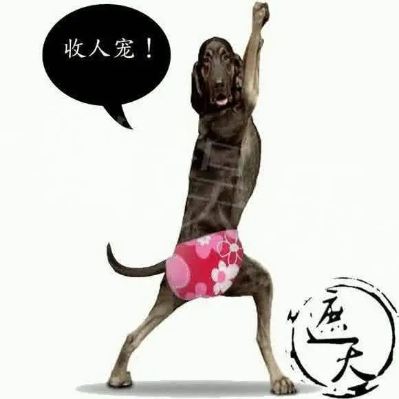 《遮天》黑皇：都教出来了哪些出色的弟子？