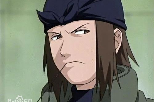 不知火玄间山城青叶:火之国木叶隐村的特别上忍，擅长读取别人脑海中的记