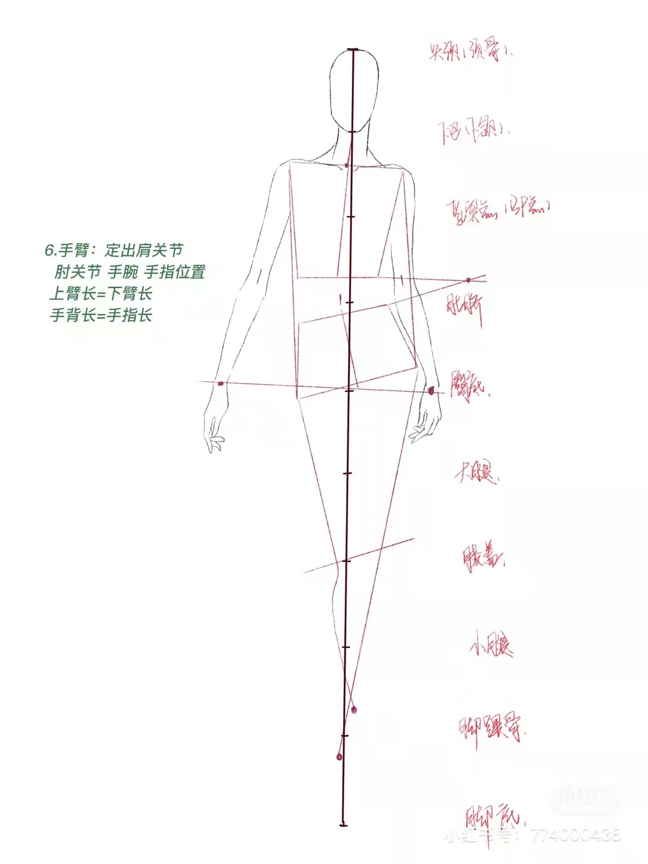 学习|动态人体结构画法|||服装设计|手绘|人体结构|九头身|动态画法