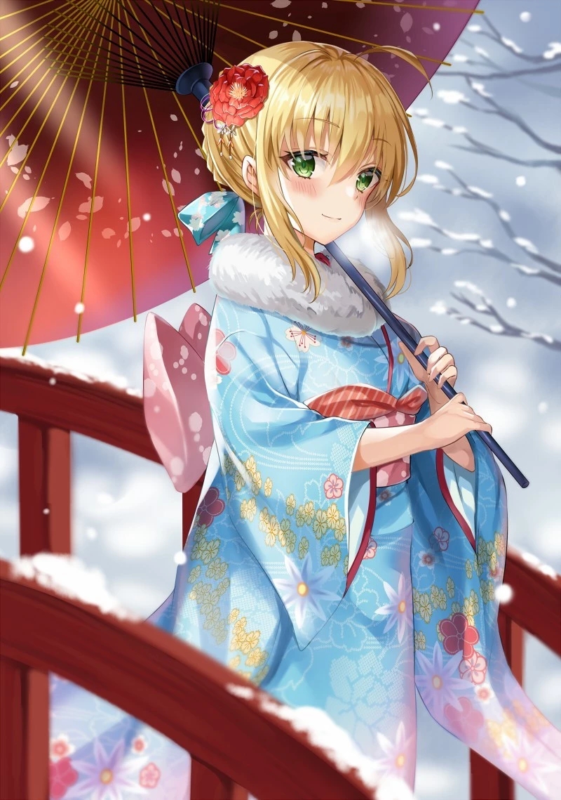 fate美图专栏——精美的动漫图片