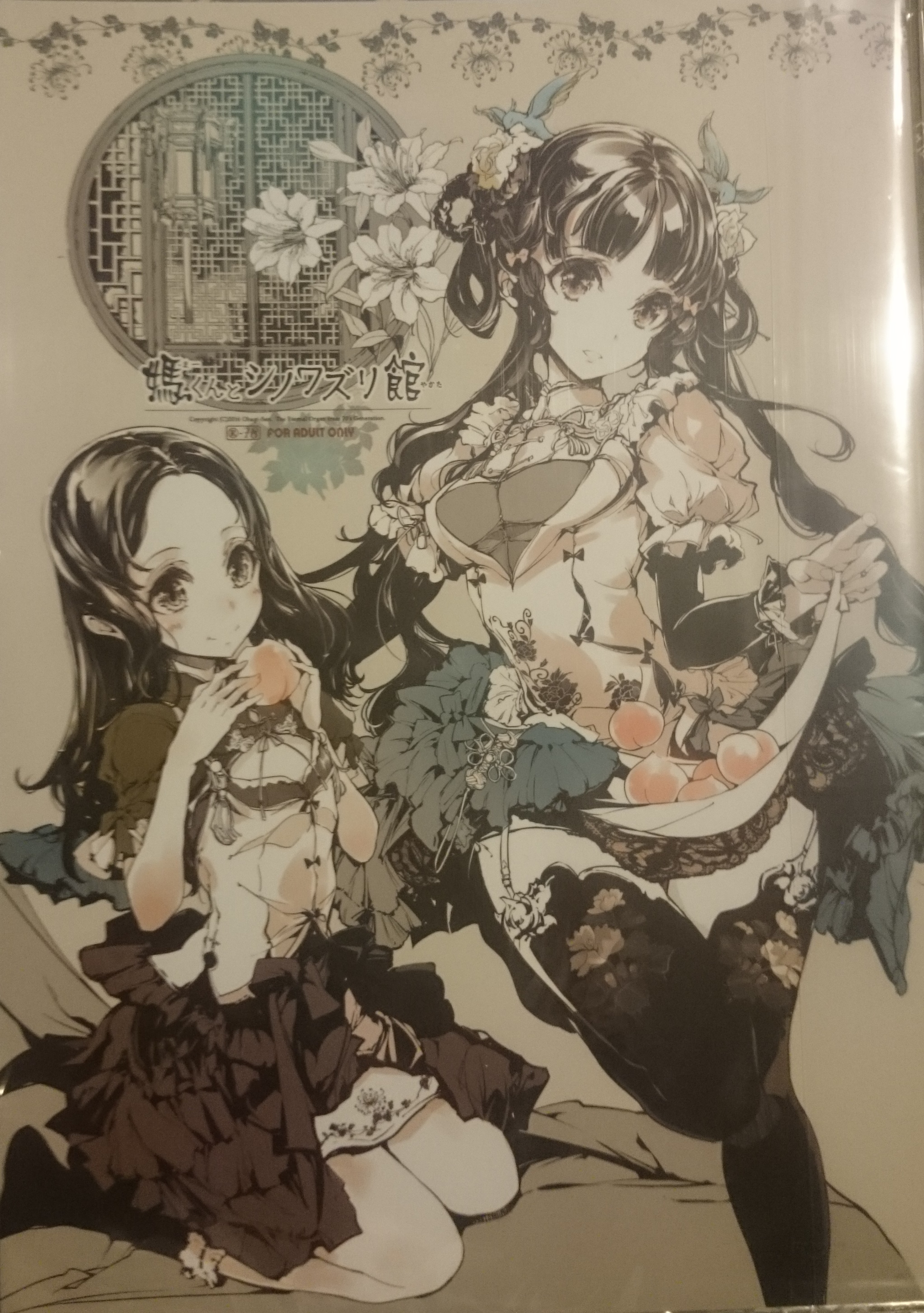 小薄本系列第八期コッペリアの姫馆世界上最精致的本子画技狂人袁藤冲